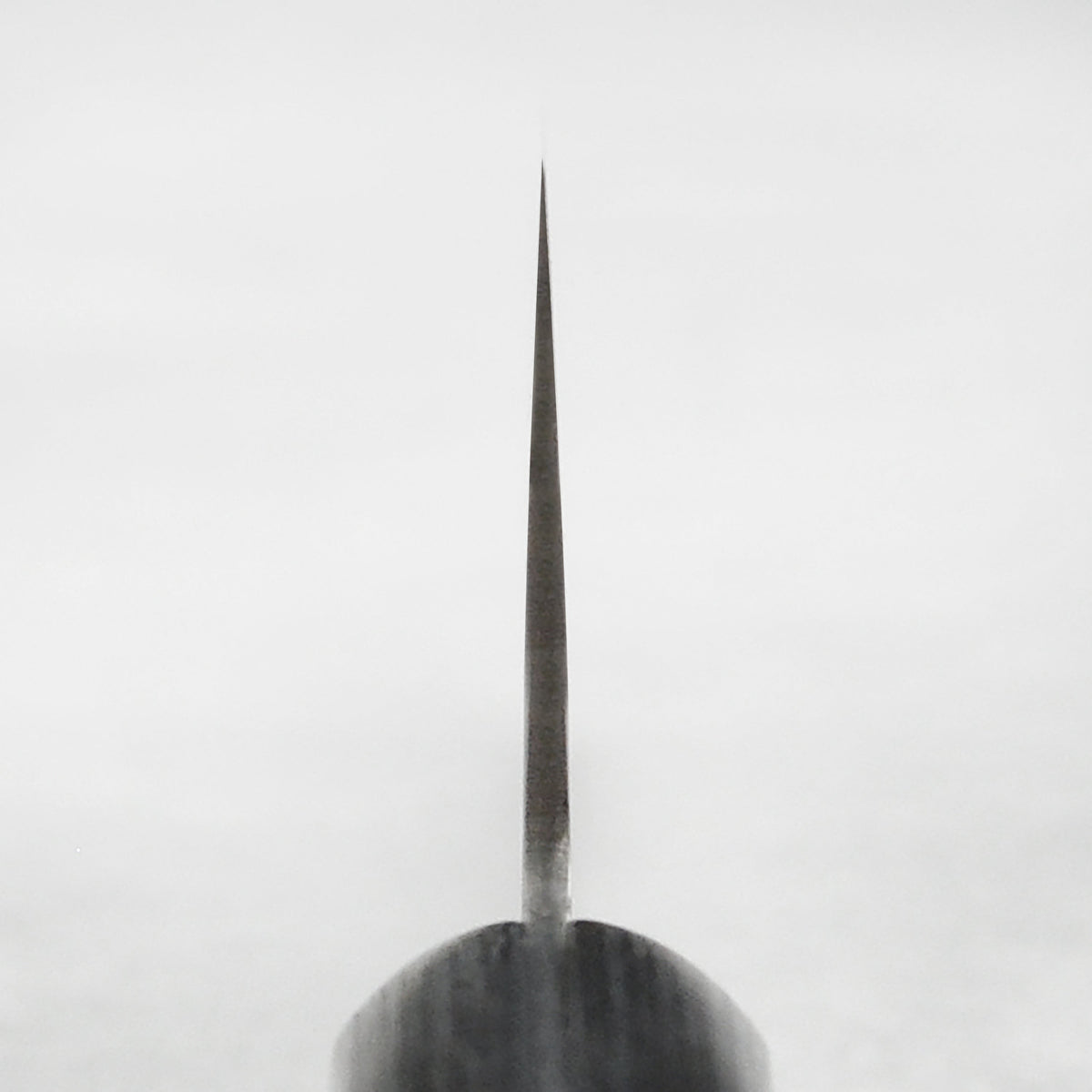 Tojiro Basic 6.5" Nakiri Knife
