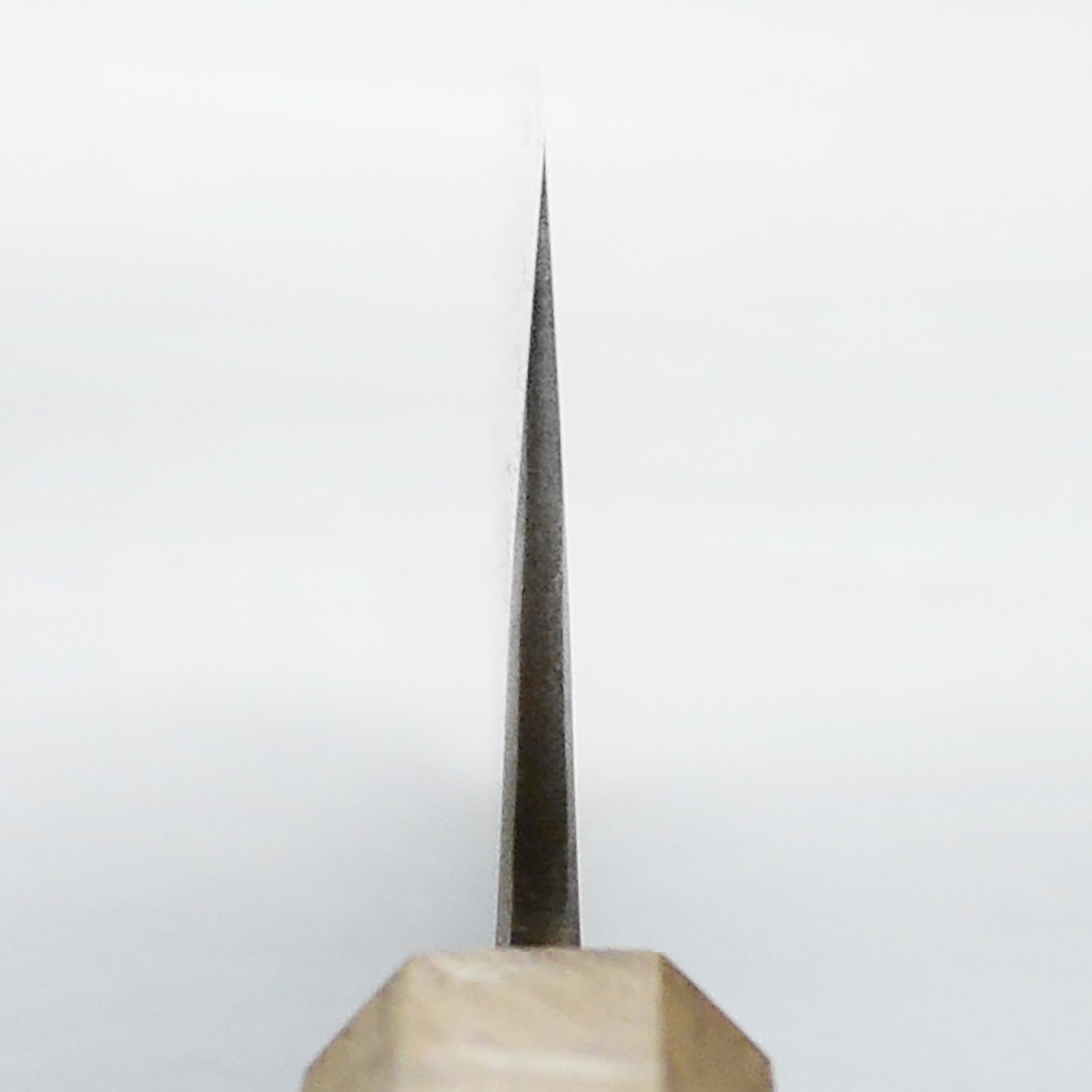 Sakoda Shirogami #2 Stainless Clad 6.7" Nakiri