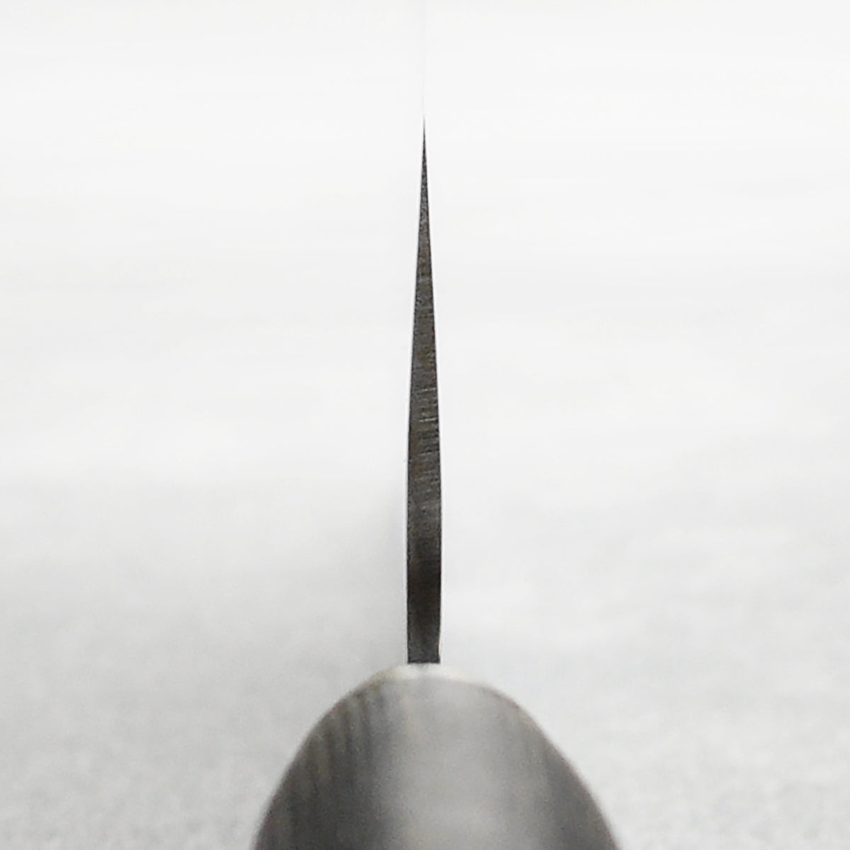 Yaxell Taishi 6.5" Nakiri Knife