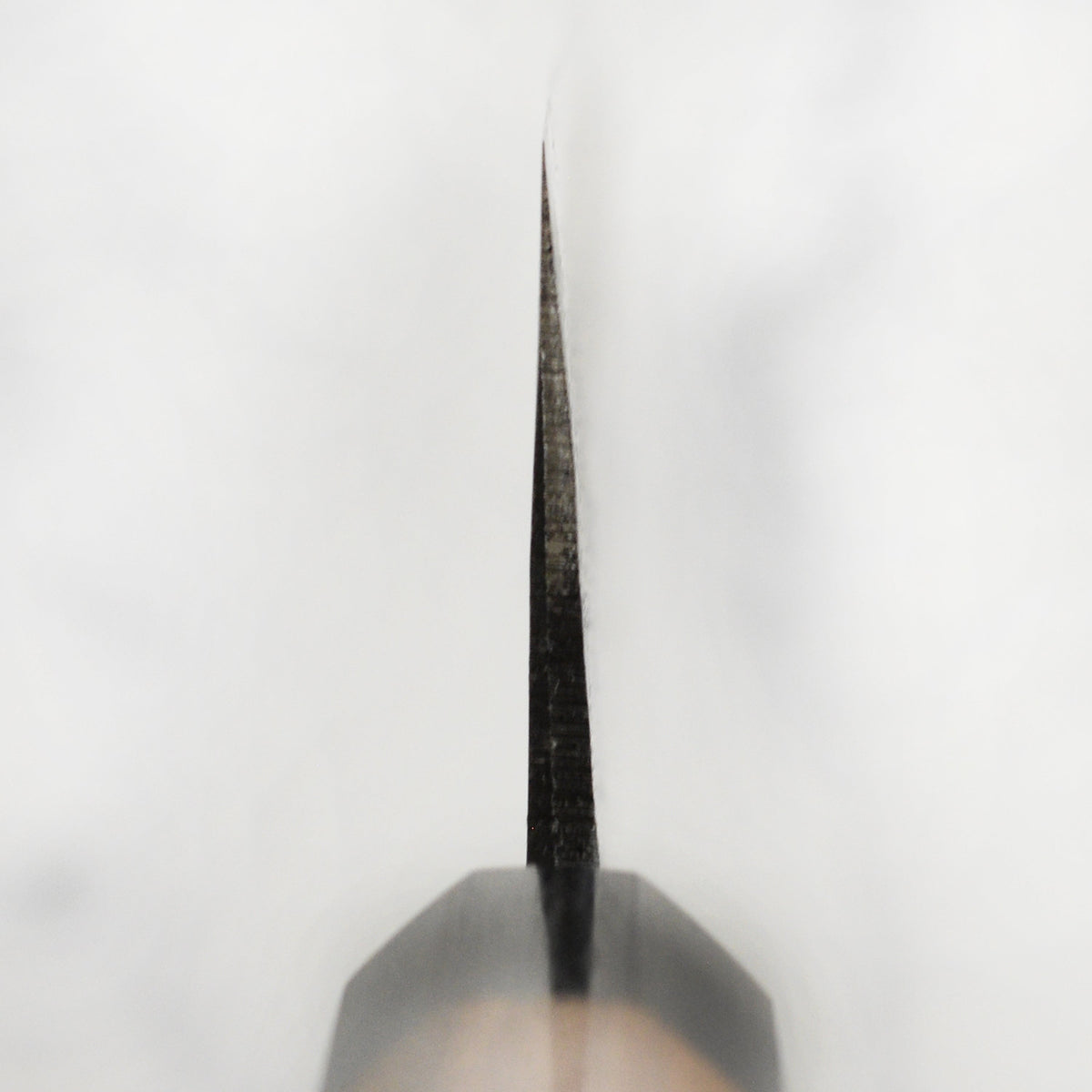 Takayuki Aogami Kurouchi 8.25" Gyuto