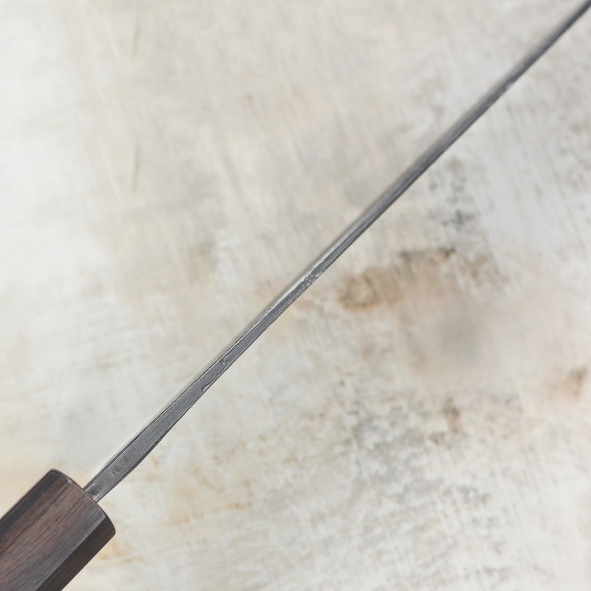 Kajibee Shirogami #2 Kurouchi 8.25" Gyuto