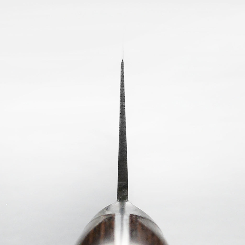 Takayuki Aogami #2 Mono Carbon Steel 9.4" Sujihiki