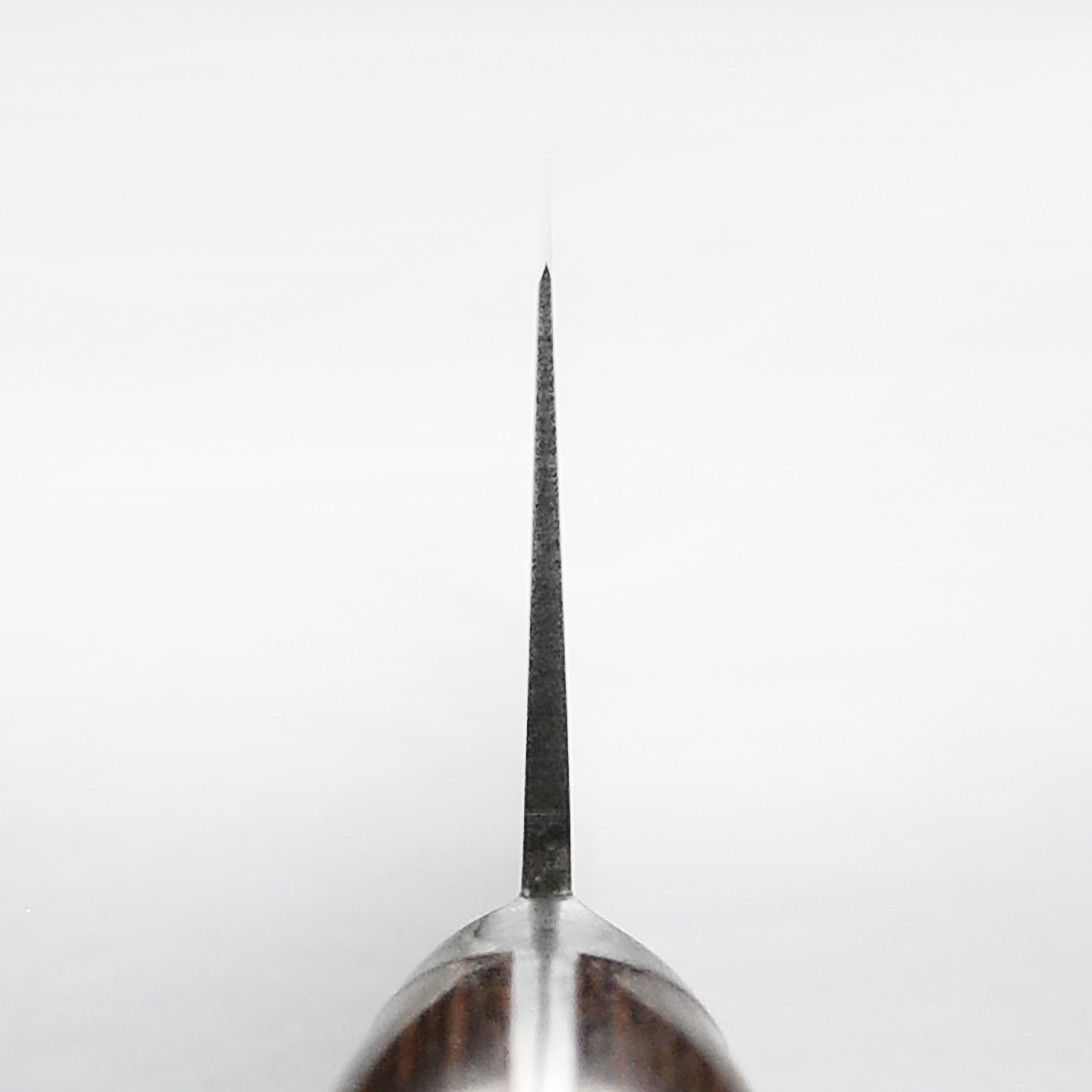Takayuki Aogami #2 Mono Carbon Steel 9.4" Sujihiki