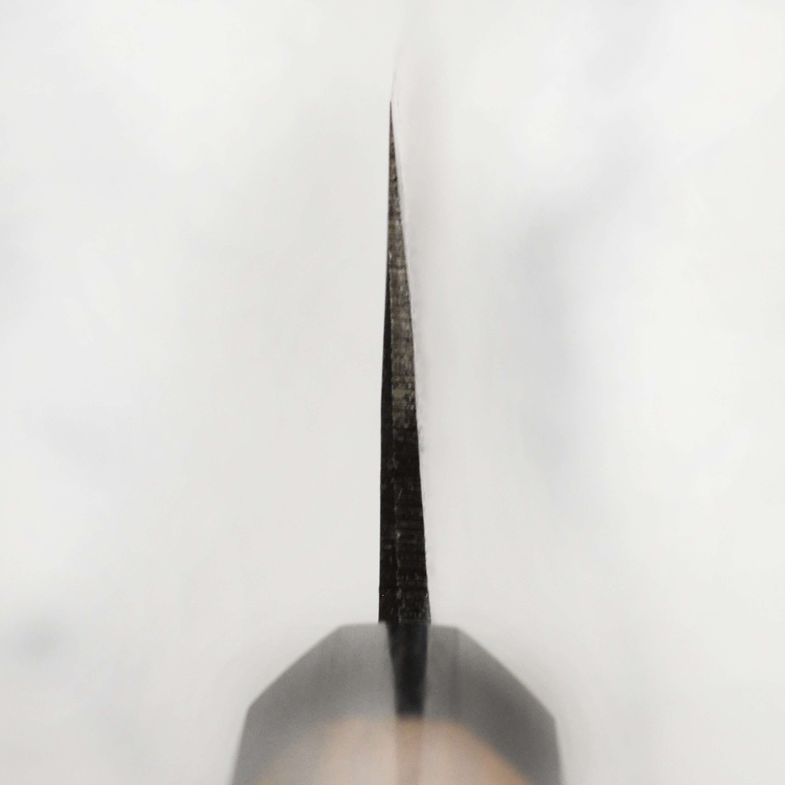 Takayuki Aogami Kurouchi 9.4" Gyuto