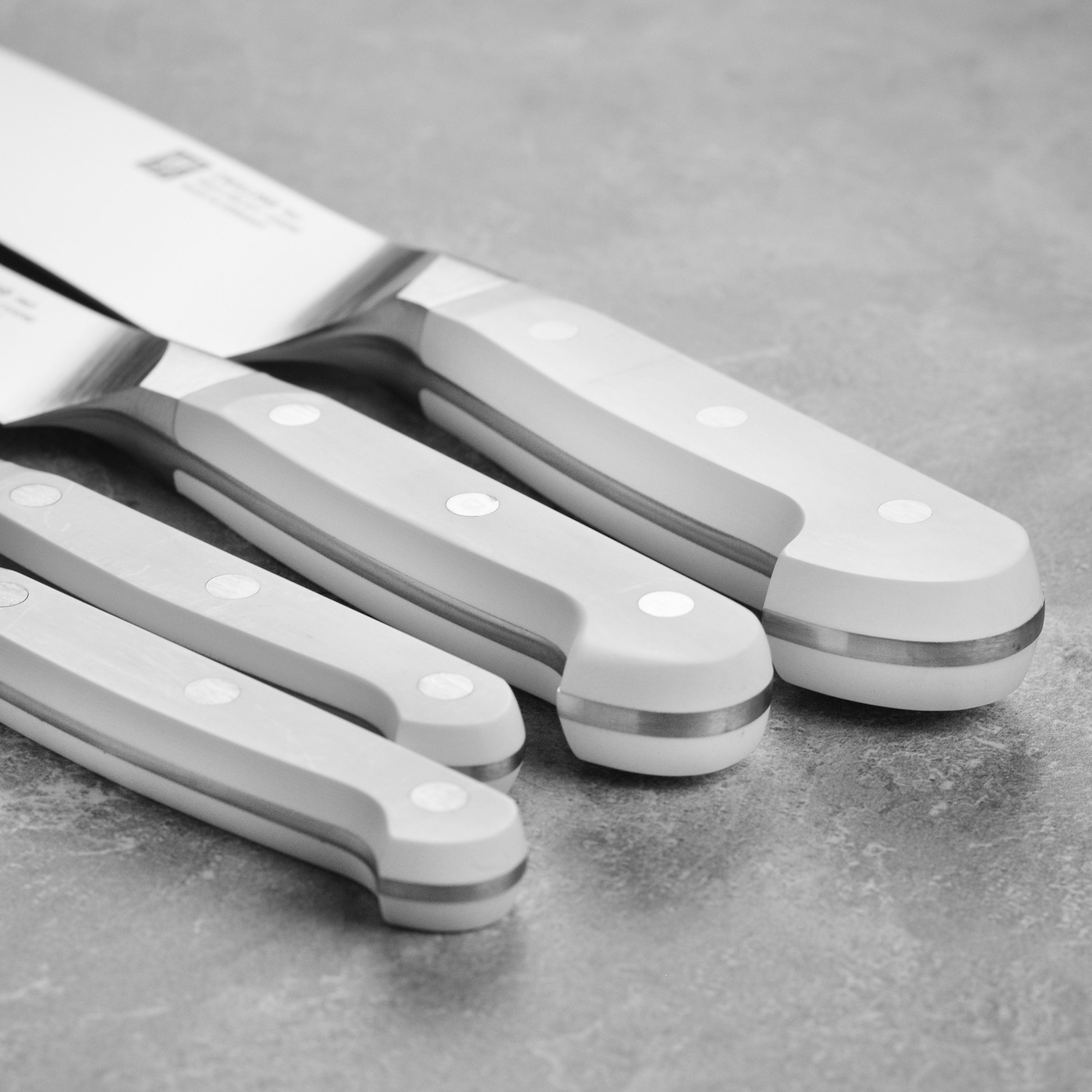 Zwilling Pro Le Blanc 5 Piece Magnetic Knife Block Set