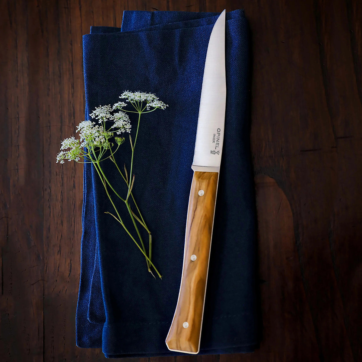 Opinel 4 Piece Mixed Facette Steak Knife Set