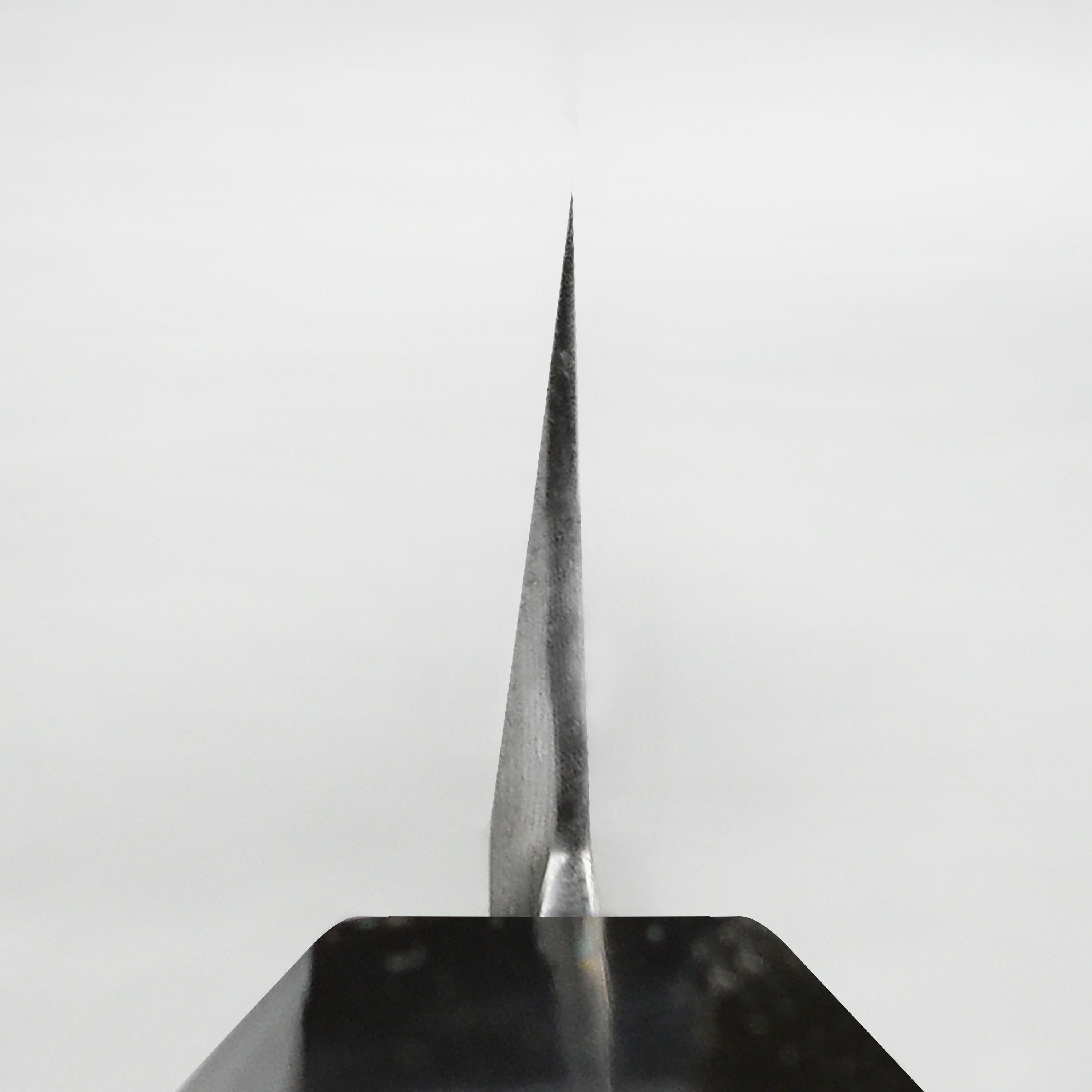 Takayuki Seiryu Aogami #2 Damascus Single-Bevel 10.6" Kengata Yanagiba with Saya