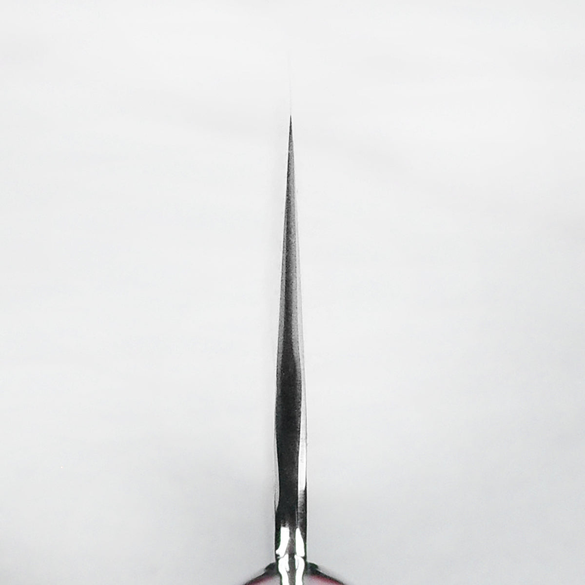 Nigara SG2 Migaki Tsuchime 9.4" Gyuto, Crimson Acrylic