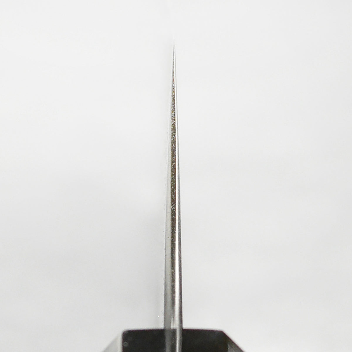 Hatsukokoro Hayabusa Aogami Super 8.25" Gyuto