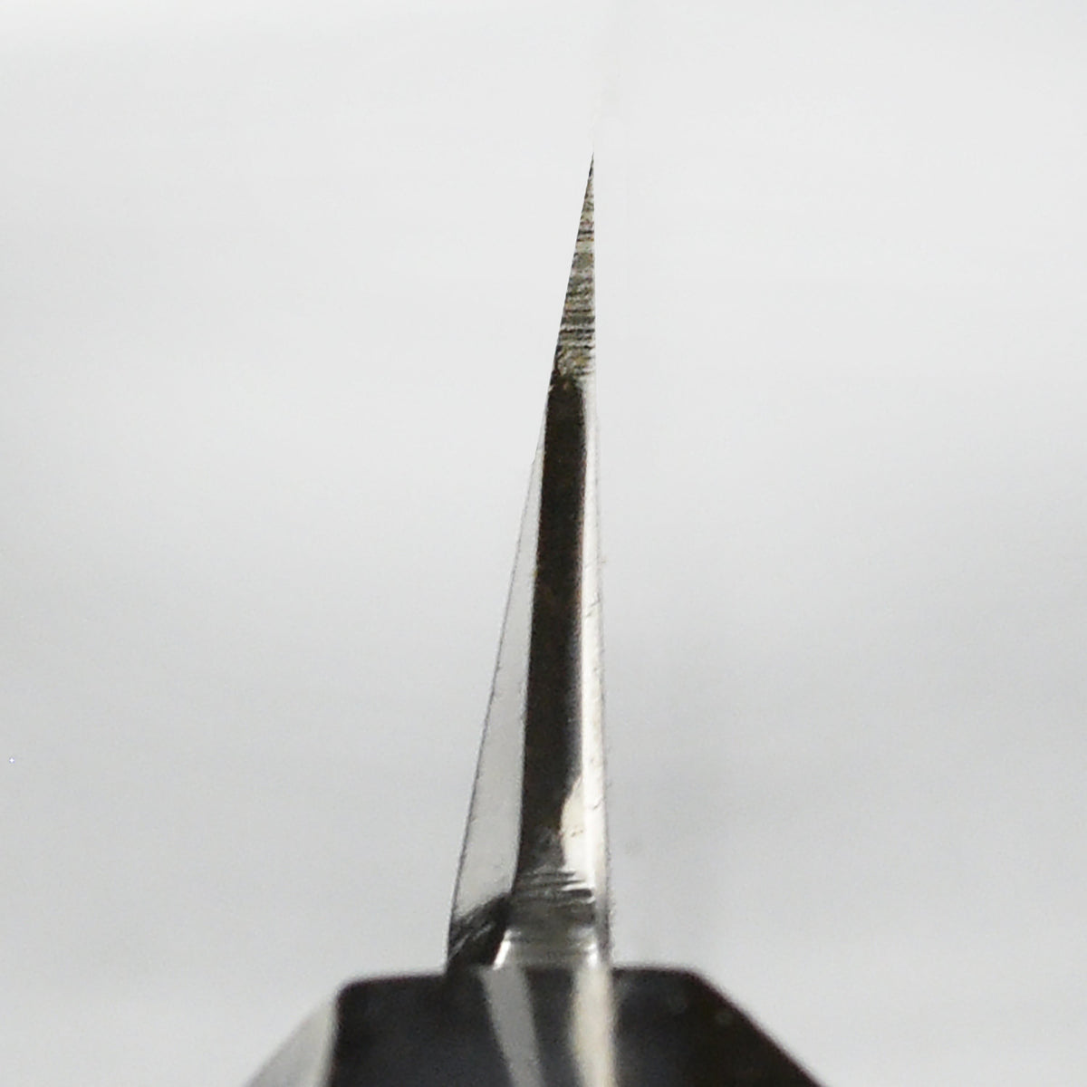 Takayuki x Itsuo Doi Genbu Aogami #2 Single-Bevel 11.8" Sakimaru Takohiki with Saya