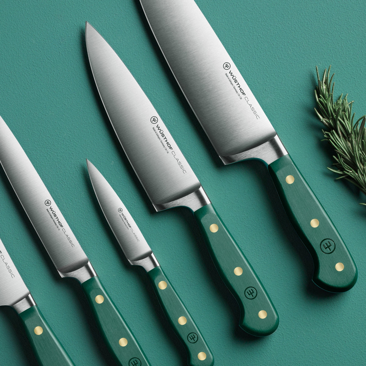 Wusthof Classic Fresh Rosemary 6" Chef's Knife