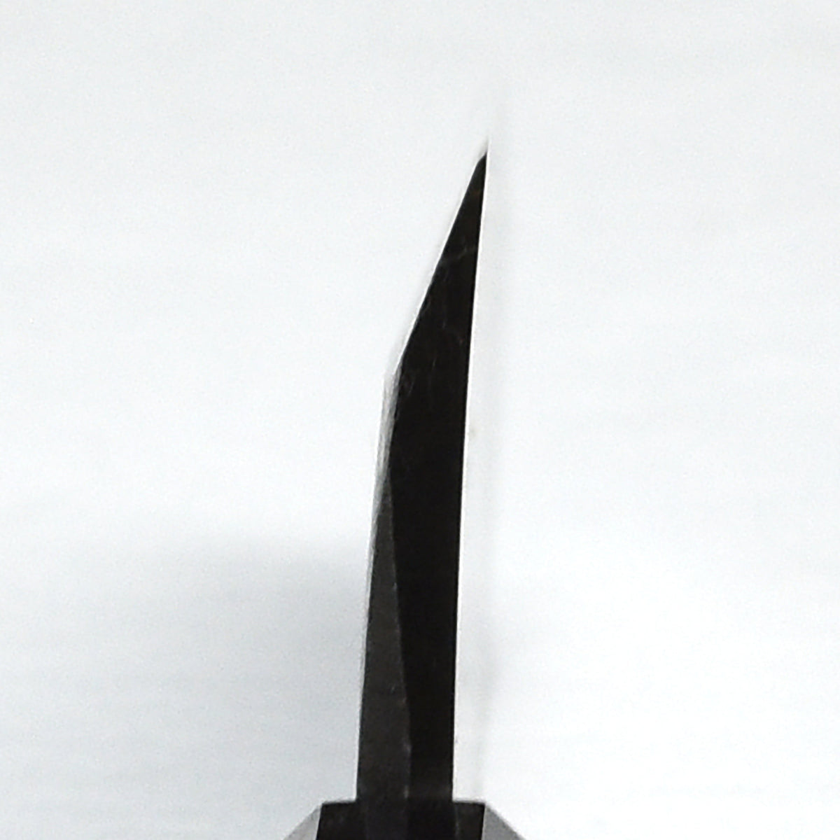 Hatsukokoro Shirasagi Aogami #2 Kurouchi 6.5" Single-Bevel Deba