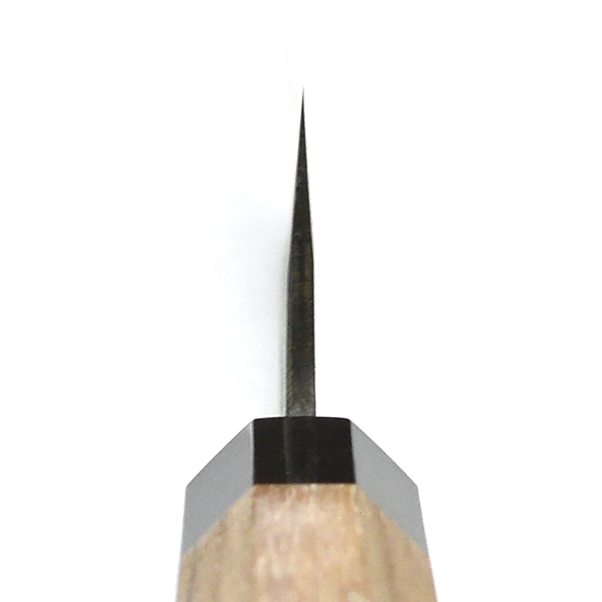 Hatsukokoro Aosagi Aogami #2 Kurouchi 8.25" Gyuto